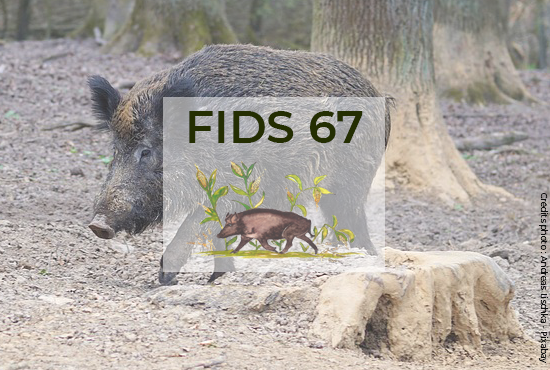 fids67-optimise-la-gestion-de-son-territoire-grace-au-sig-geoconcept
