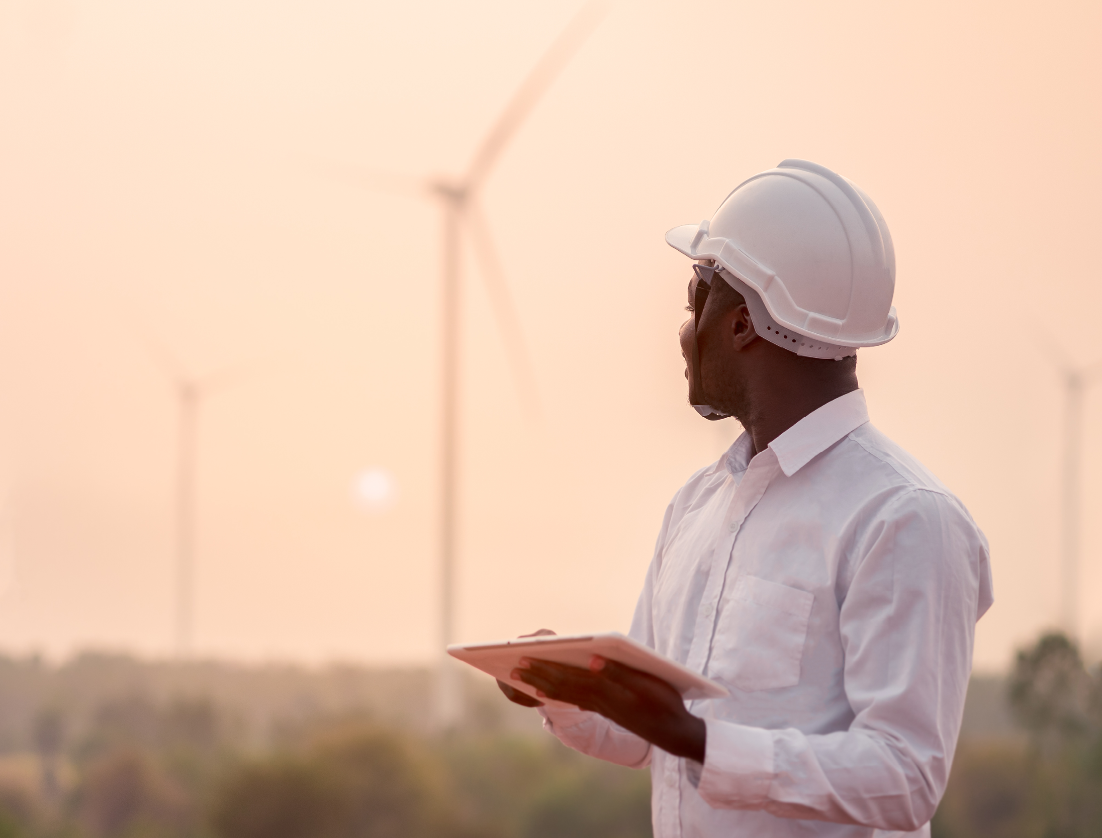 webinar-gestion-interventions-terrain
